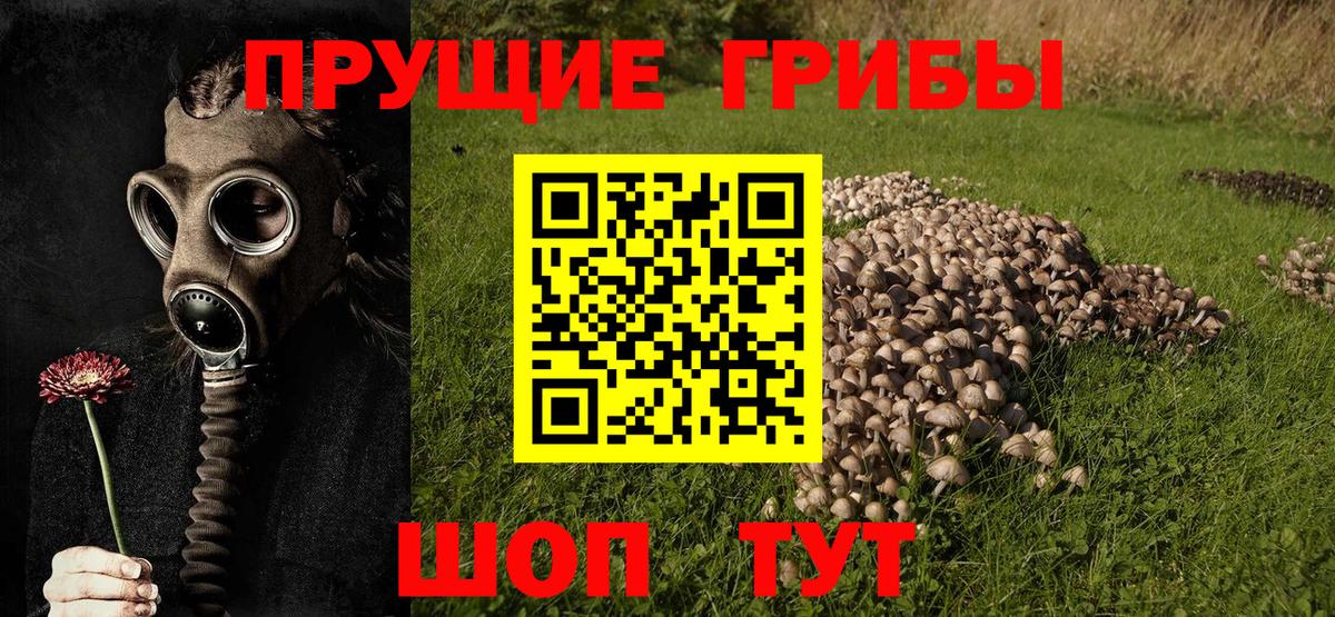 Псилоцибиновые грибы Magic Shrooms Казань
